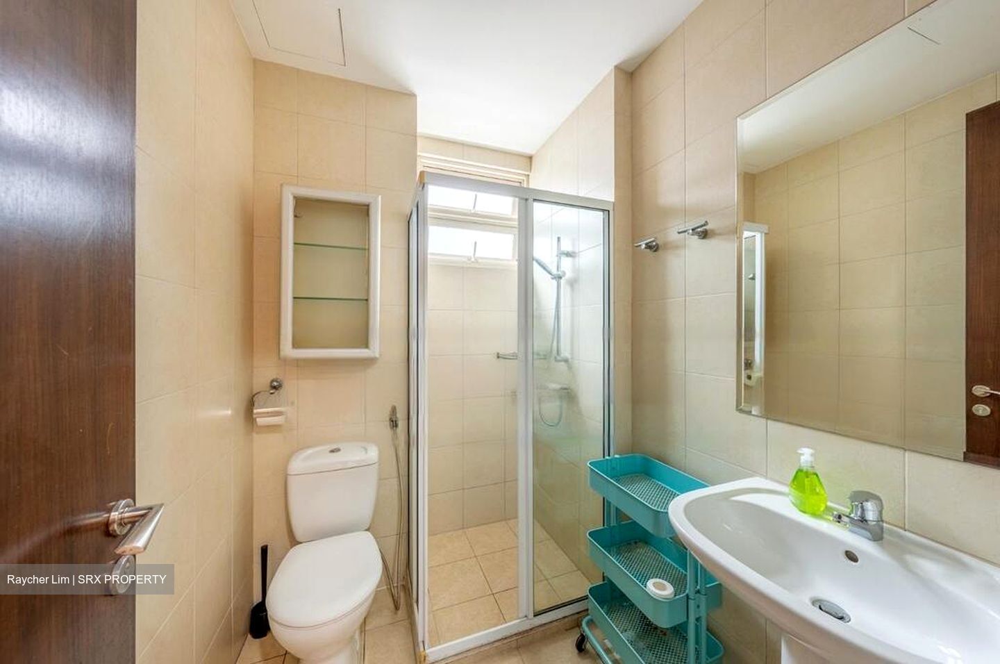 Apleton View (D11), Apartment #459780951